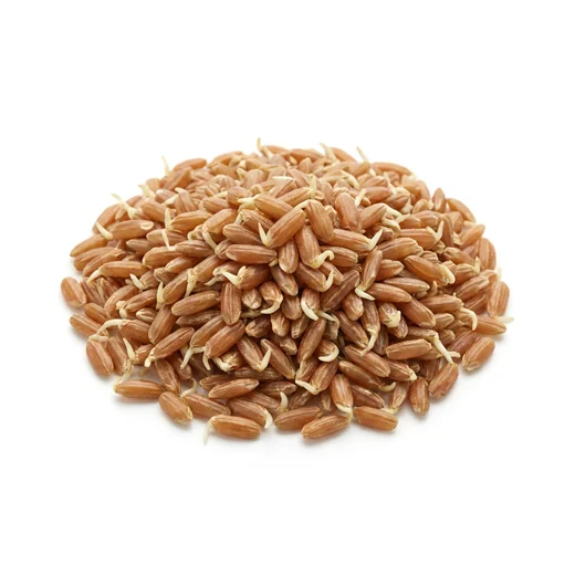 Germinated brown rice