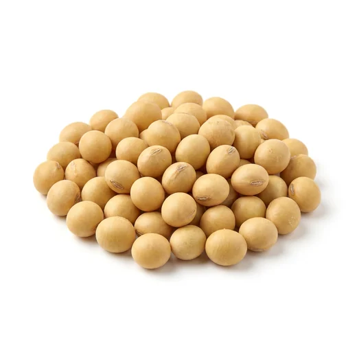 Soybean